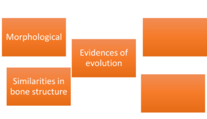 Maharashtra Board Class 10 Science Solutions Part 2 Chapter 1 Heredity and Evolution